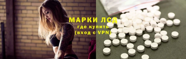 apvp Алексин