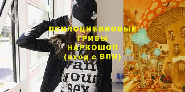 индика Майский